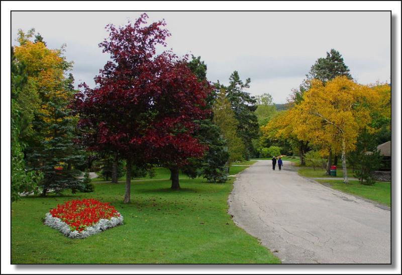 <B>Autumn in Bowring Park</b>