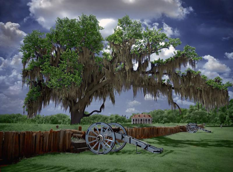 <b>8th Place</b><br>Rasta Tree <br> by MxCat