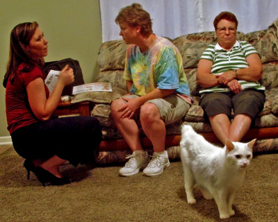 Three women and a white cat