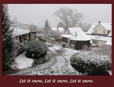 8th Place Let it Snow (*)by Ann Chaikin