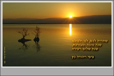 3rd Place ShanaTova (Hebrew for Happy New Year)by Yehuda