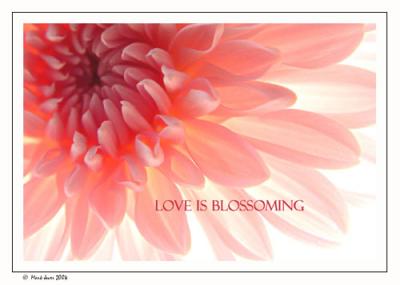<b>4th Place (tie)</b><br>Love Is Blossoming