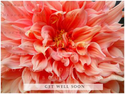Get well soon !!