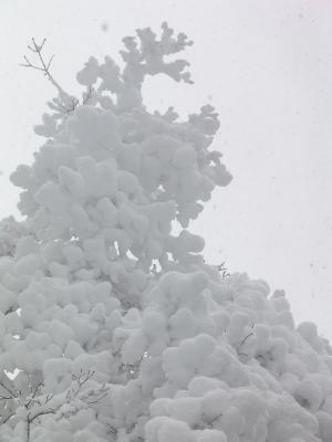 Snow Sculptureby Tessa