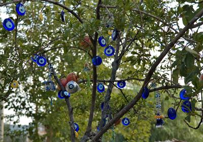 The Evil Eye Tree