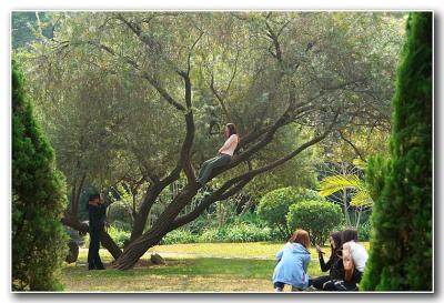 A People Treeby jrdu