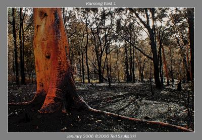 Karriong East 1by Ted Szukalski