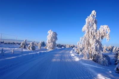Winter Roadby Andre Thibodeau