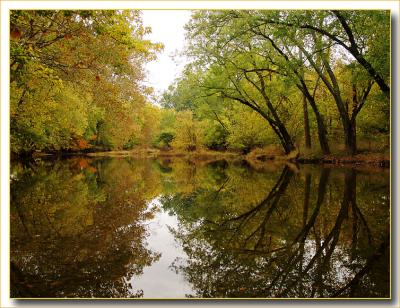 <b>4th Place [Tie]</b><br>Elkhorn Creek reflections