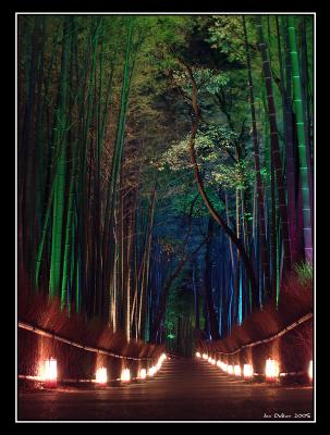 5th Place (tied)The Bamboo Forest*by IanZ28