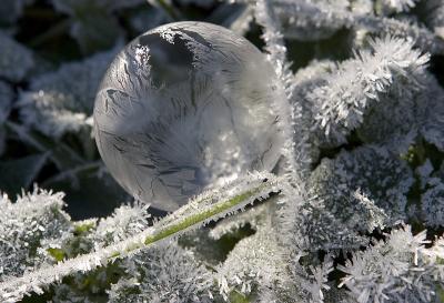 Ice Bubble