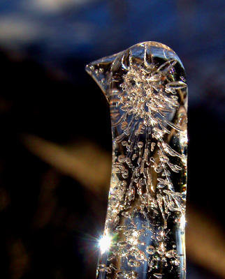 Crystal Chicken...