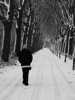 I prefer to walk*<br> by Patty88 - mod #2