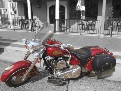 Indian Chief  by Madeleine L. Taylor