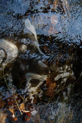 January Thaw