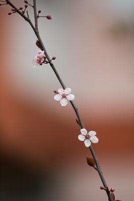 All Mine *  by fatih