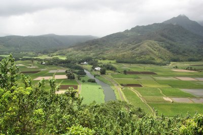 Farms in Paradise