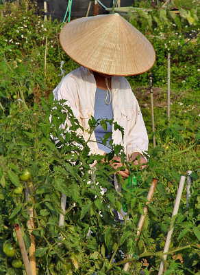 Weekend Farmer