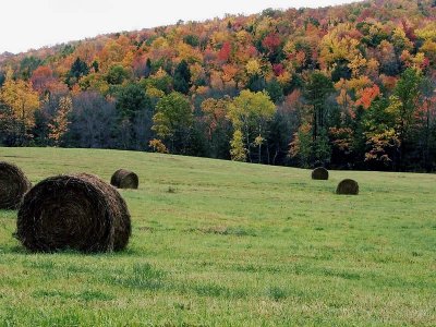Haybales in the Fall