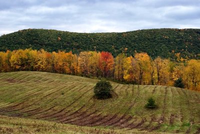 Manmade Patterns among Natures Beauty