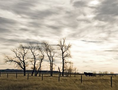 Montana Autumnby inframan