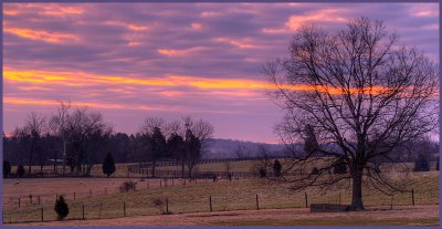 Kentucky farm