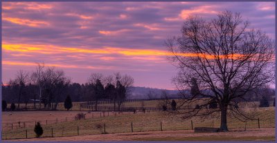 Kentucky farm