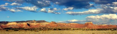 New Mexico Naturally