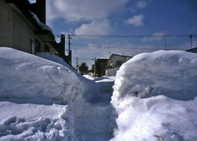 snow.jpg