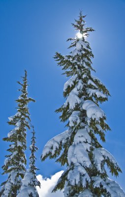 a late winter sun