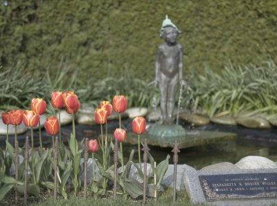 in the garden are memories...