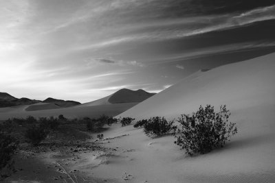 Back to Death Valley - 2010