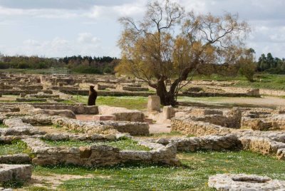 cap bon,tunisie_dsc2813.jpg