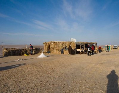 tunisie, el jerid,tozeur,oasis_dsc3012.jpg