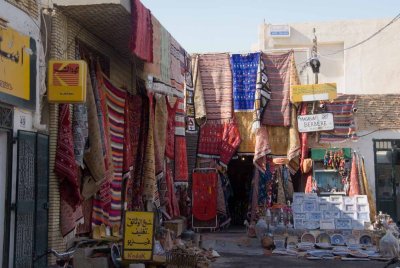 tunisie, el jerid,tozeur,oasis_dsc3057.jpg