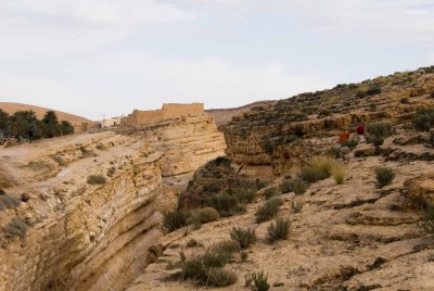 tunisie, el jerid,tozeur,oasis_dsc3104.jpg