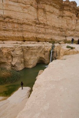 tunisie, el jerid,tozeur,oasis_dsc3115.jpg