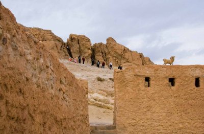 tunisie, el jerid,tozeur,oasis_dsc3129.jpg