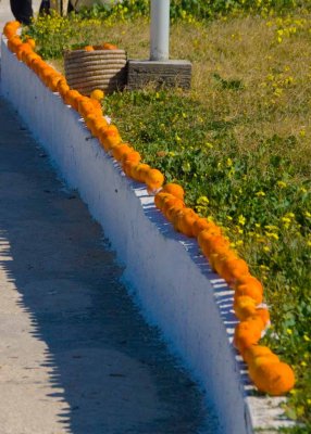 tunisie,port el kantaoui_dsc3383.jpg