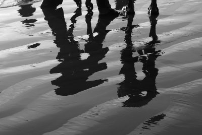 shadows