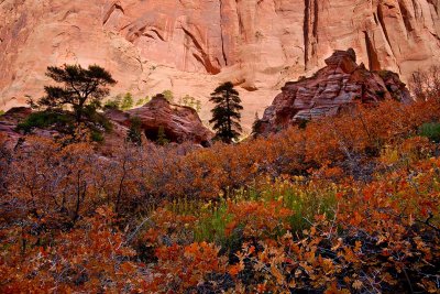 10192009-Zion-126