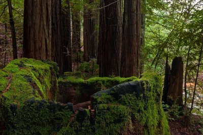 12282009-Sonoma-38
