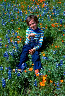 Spring 1977 Sean  admidst the flowers