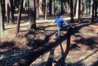 1979 Sean at Yosemite-4