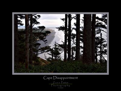 Cape Disappointment View