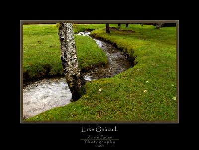 Creek at Lake Quinault