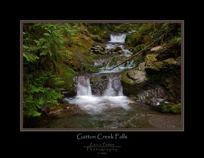 Gatton Creek Falls