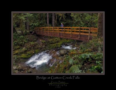 Bridge at Gatton Creek Falls