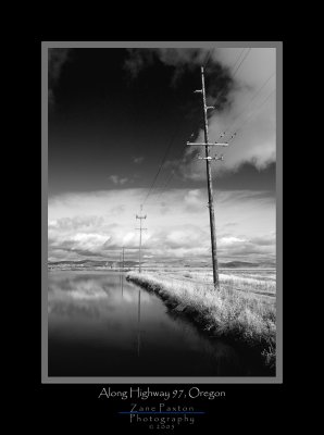 Telephone Poles-BW