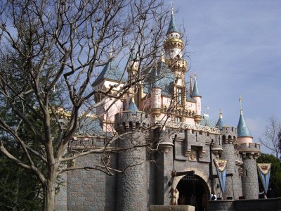 Disneyland 2010